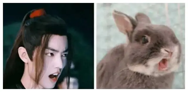 娱乐圈长得很像的明星_最迷人的猫系女神是谁_娱乐圈动物系明星排名