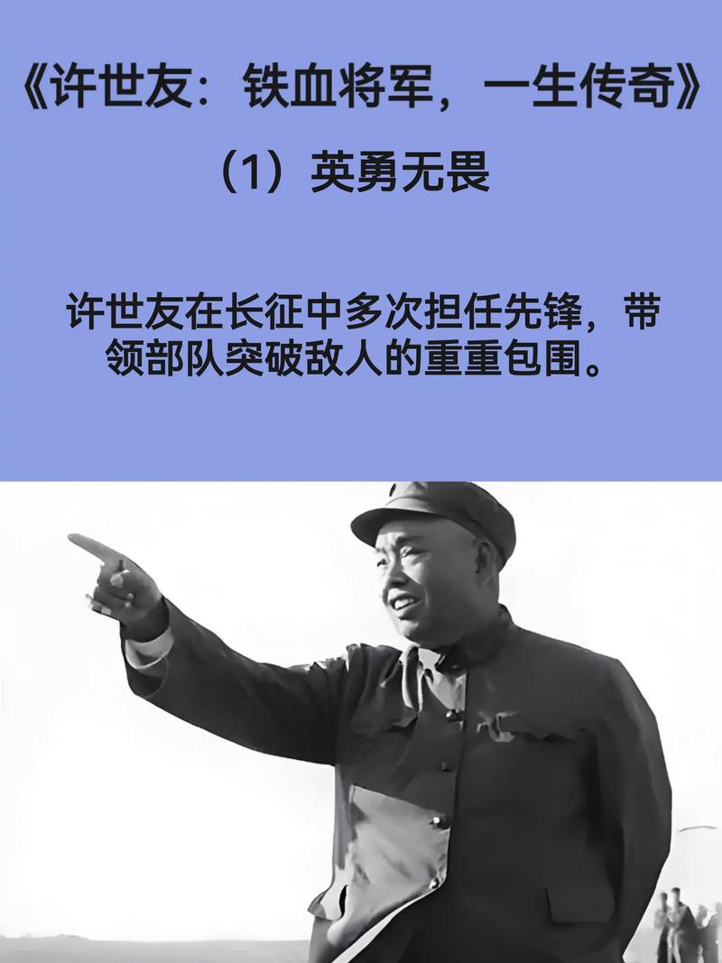 许世友将军传奇剧集，在线观看热血历史