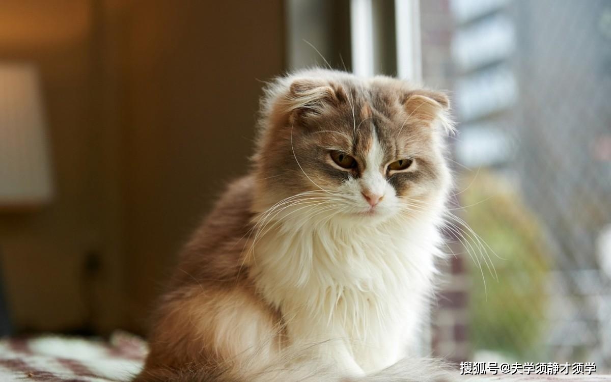 家庭生活趣事_生活小故事_内涵段子51吃瓜网,